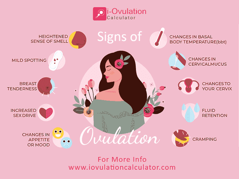 What are the Signs of Ovulation?